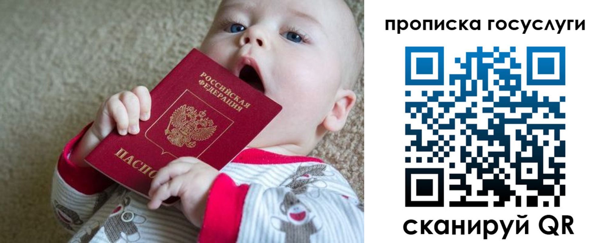 временная регистрация в квартире в Камчатской области